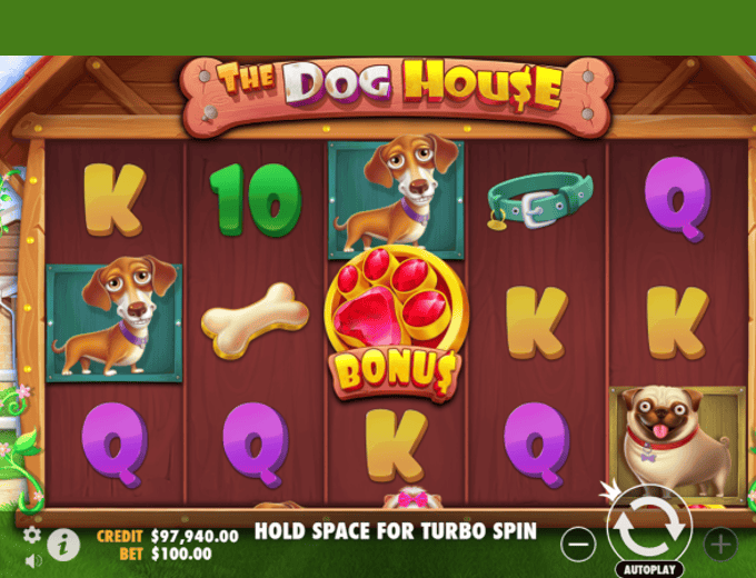 The Dog House Screenshot 3