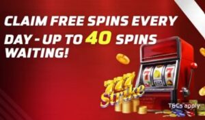 BetBus 7-Day Spin Adventure